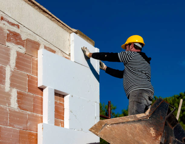 Best Spray Foam Insulation  in Cambridge, IL