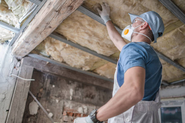 Best Insulation Contractor Near Me  in Cambridge, IL