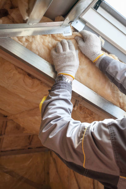 Best Professional Insulation Contractor  in Cambridge, IL