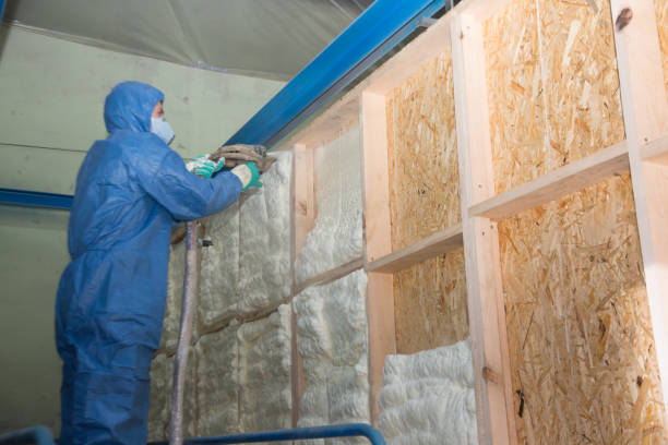 Range of Insulation Solutions in Cambridge, IL